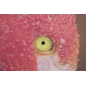 DRUK NA PŁÓTNIE Z APLIKACJAMI -A- FLAMINGO 80X3,8X120 cm